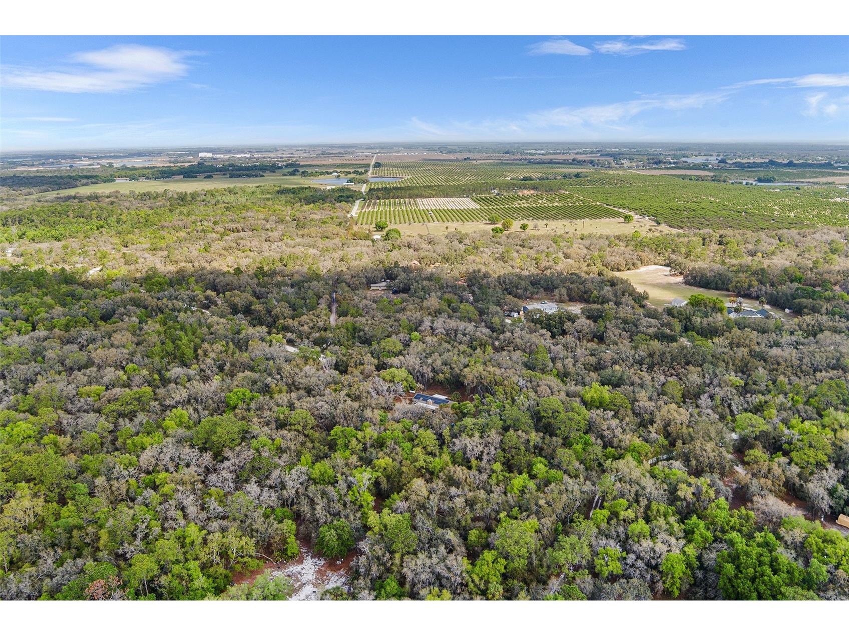 3545 Tiger Creek Trail Lake Wales FL 33898 L4960676 image45