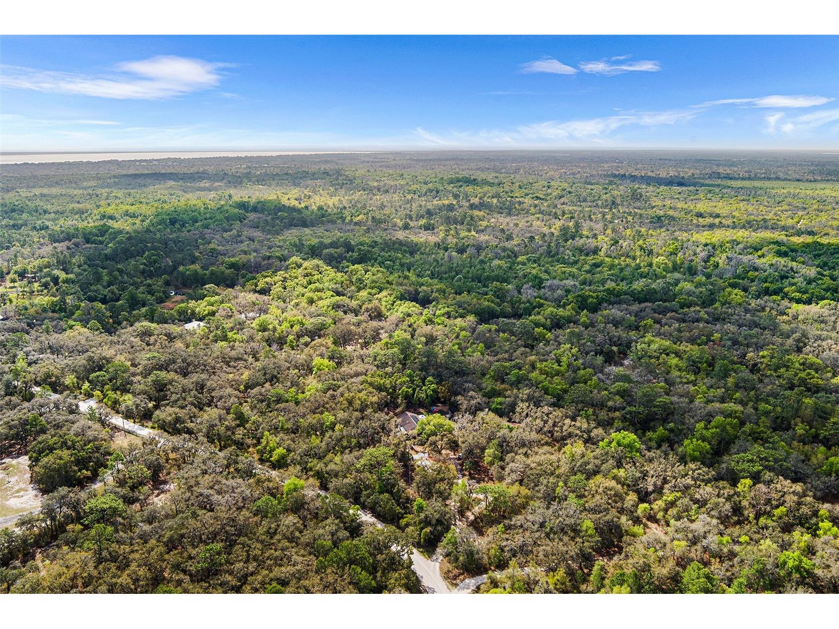 3545 Tiger Creek Trail Lake Wales FL 33898 L4960676 image46