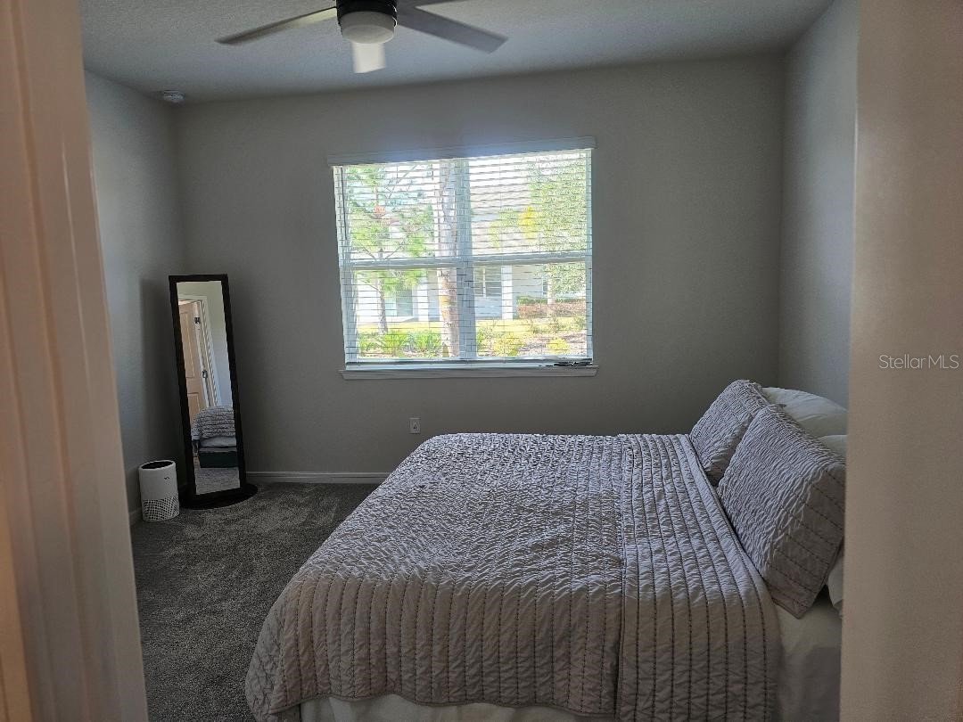 3545 Treetop Street Deland FL 32724 O6380026 image12