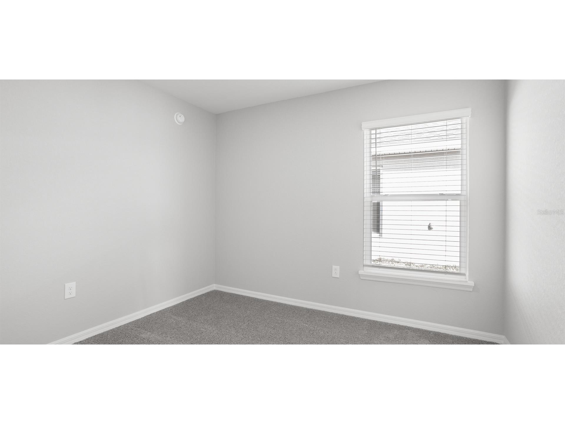 35452 Darlington Grove Drive Zephyrhills FL 33541 L4953505 image12