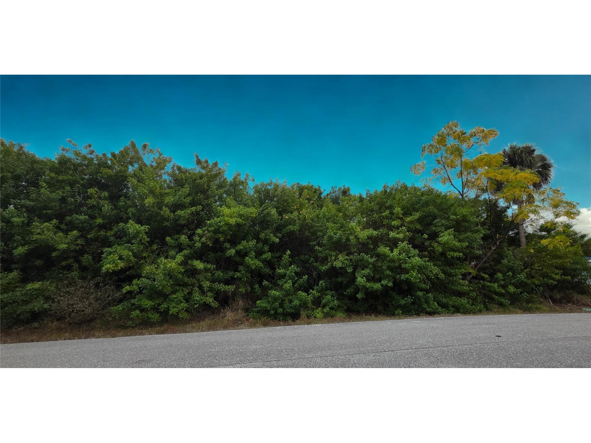 3546 Coney Island Street Port Charlotte FL 33952 C7521791 image1