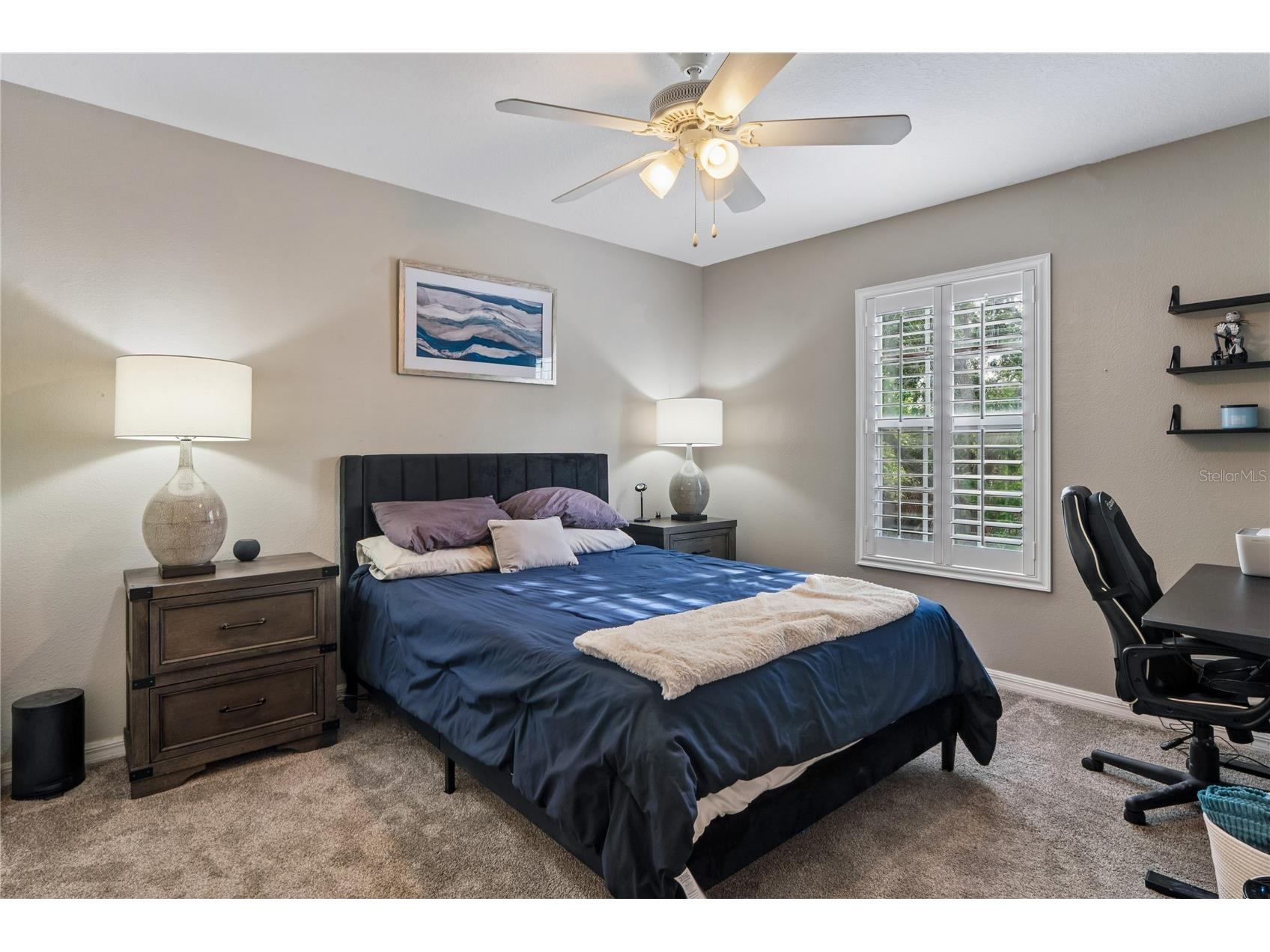 3546 Ferrell Street New Port Richey FL 34655 W7886337 image25