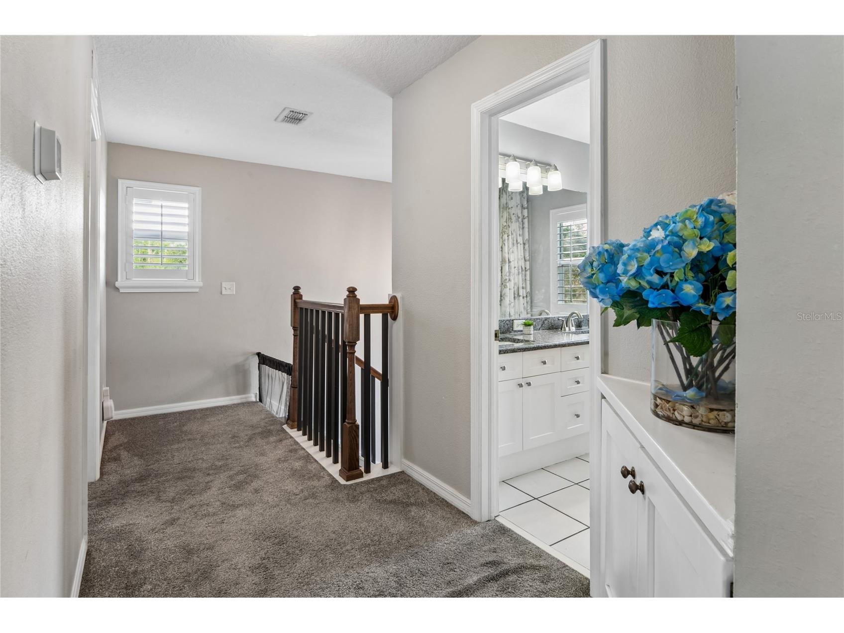 3546 Ferrell Street New Port Richey FL 34655 W7886337 image26