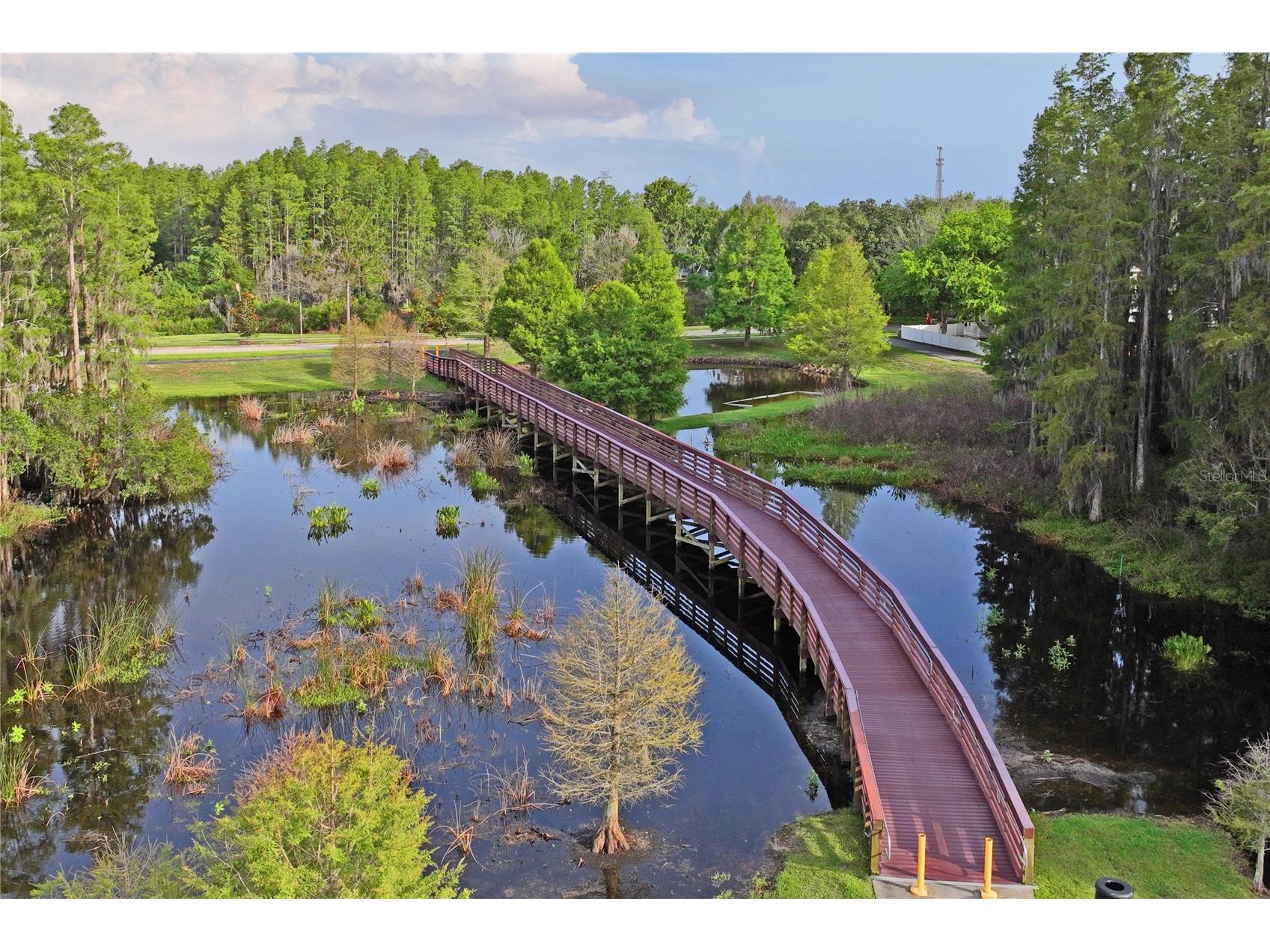 3546 Ferrell Street New Port Richey FL 34655 W7886337 image41