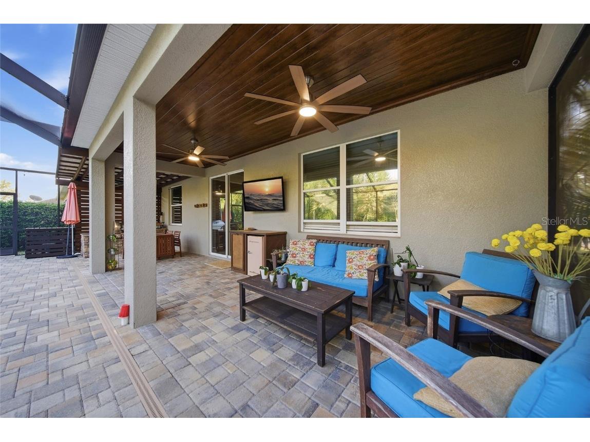 3546 Marmalade Court Land O Lakes FL 34638 TB8453385 image31