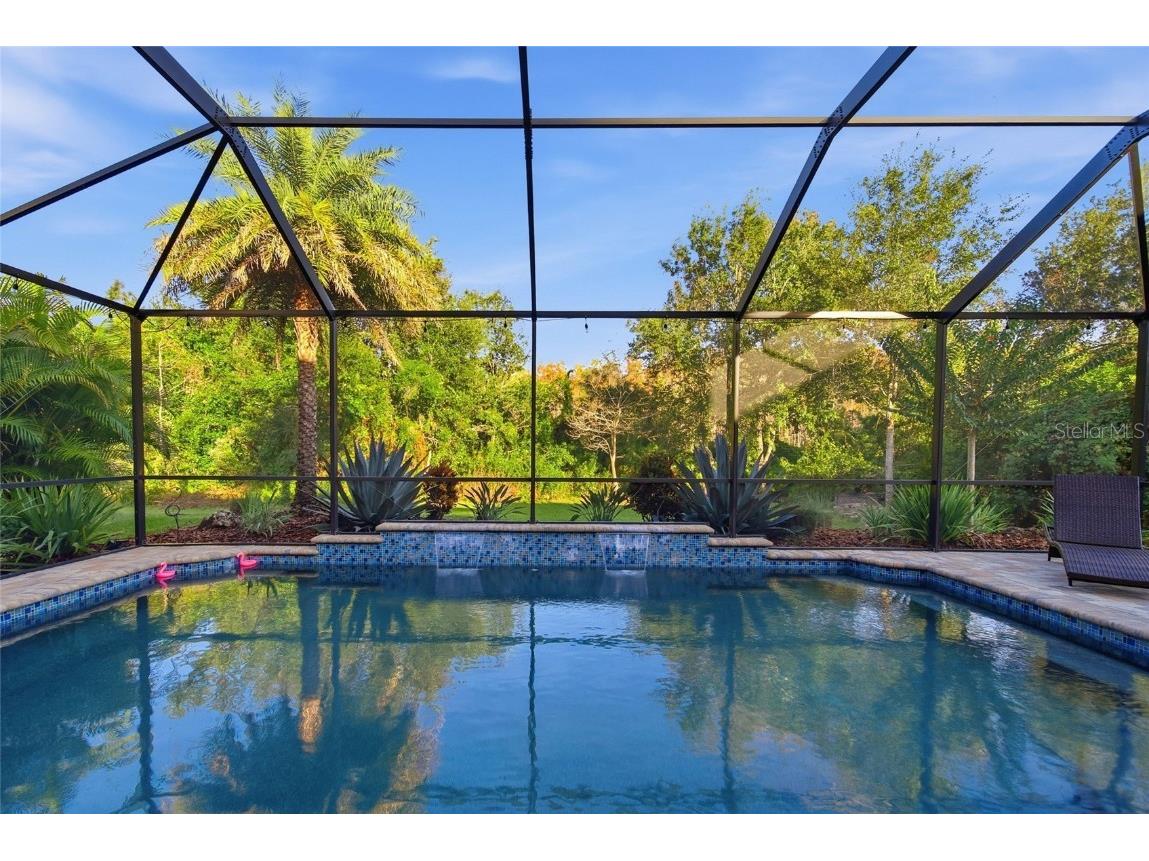 3546 Marmalade Court Land O Lakes FL 34638 TB8453385 image36