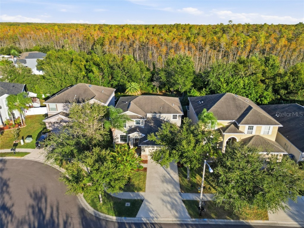 3546 Marmalade Court Land O Lakes FL 34638 TB8453385 image38