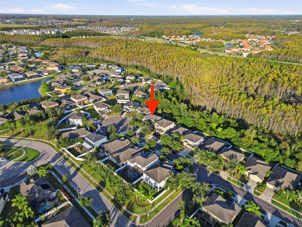 3546 Marmalade Court Land O Lakes FL 34638 TB8453385 image41