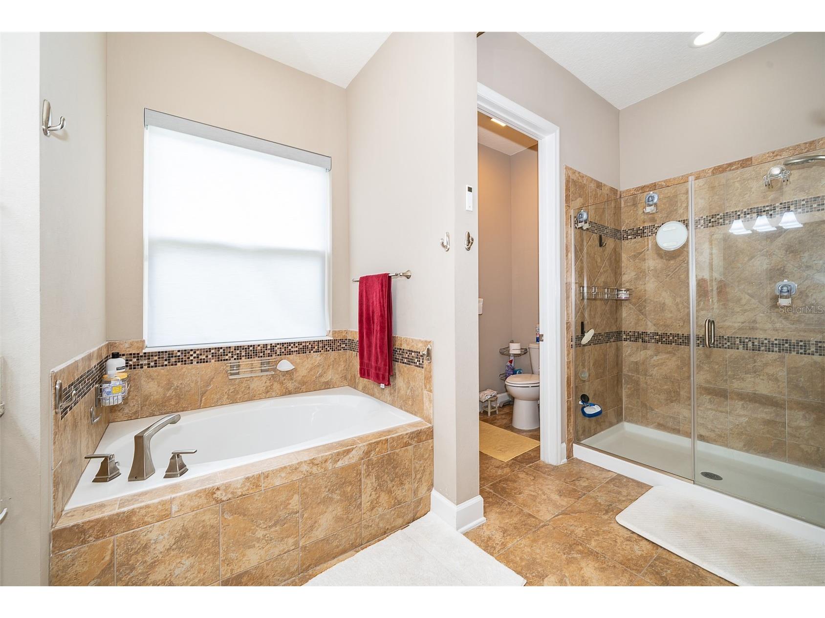 3546 Mediterra Drive Clermont FL 34711 - LAKE FELTER O6411173 image20