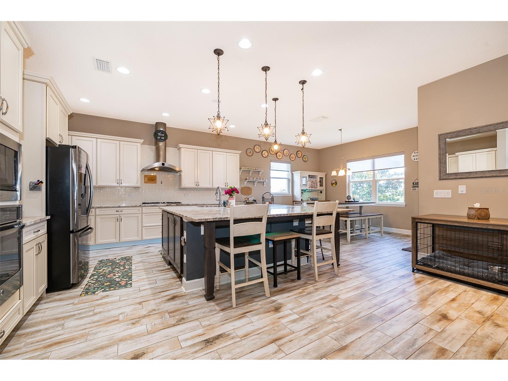 3546 Mediterra Drive Clermont FL 34711 - LAKE FELTER O6411173 image9