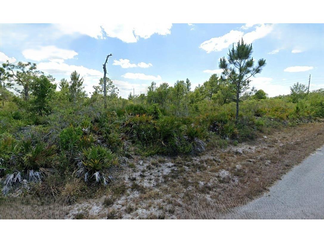 3546 Rhododendron Road Lake Placid FL 33852 O6276302 image1