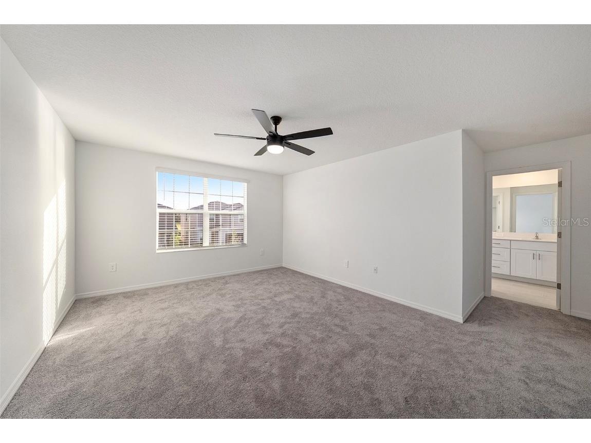 35461 Ackley Trace Zephyrhills FL 33541 S5133434 image12