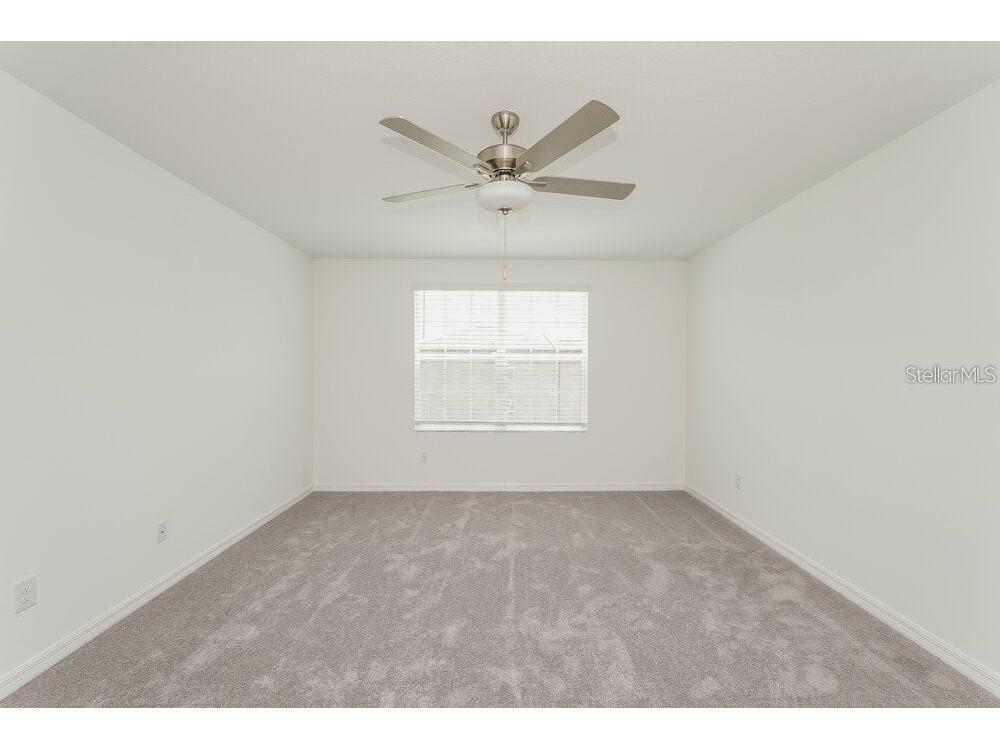 35461 Ackley Trace Zephyrhills FL 33541 S5133434 image16