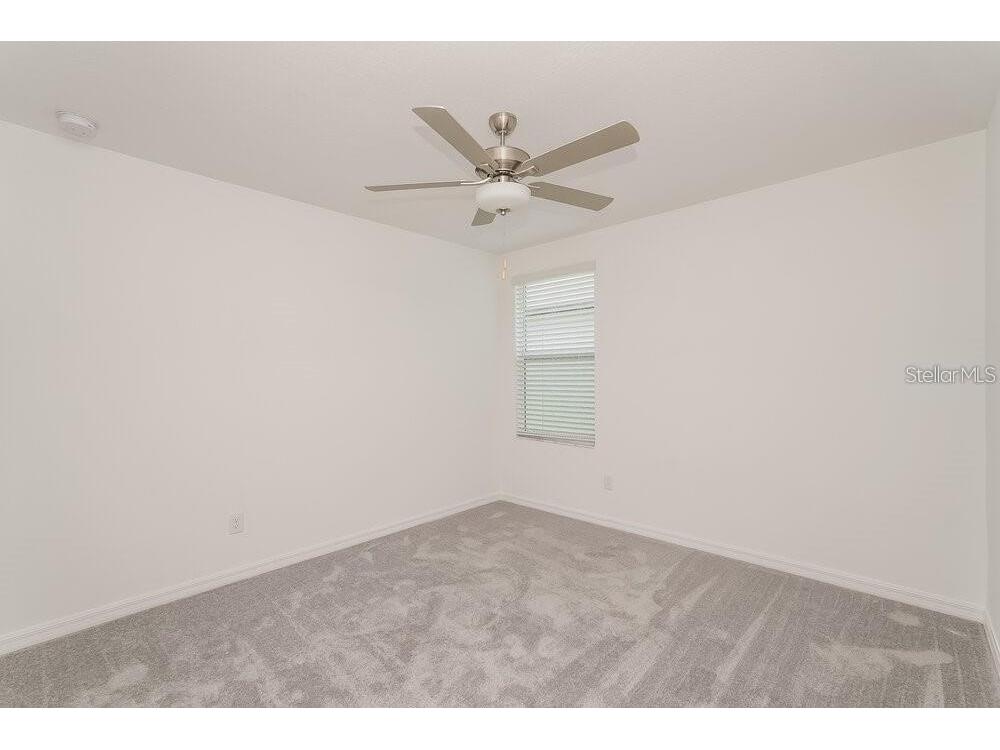 35461 Ackley Trace Zephyrhills FL 33541 S5133434 image17