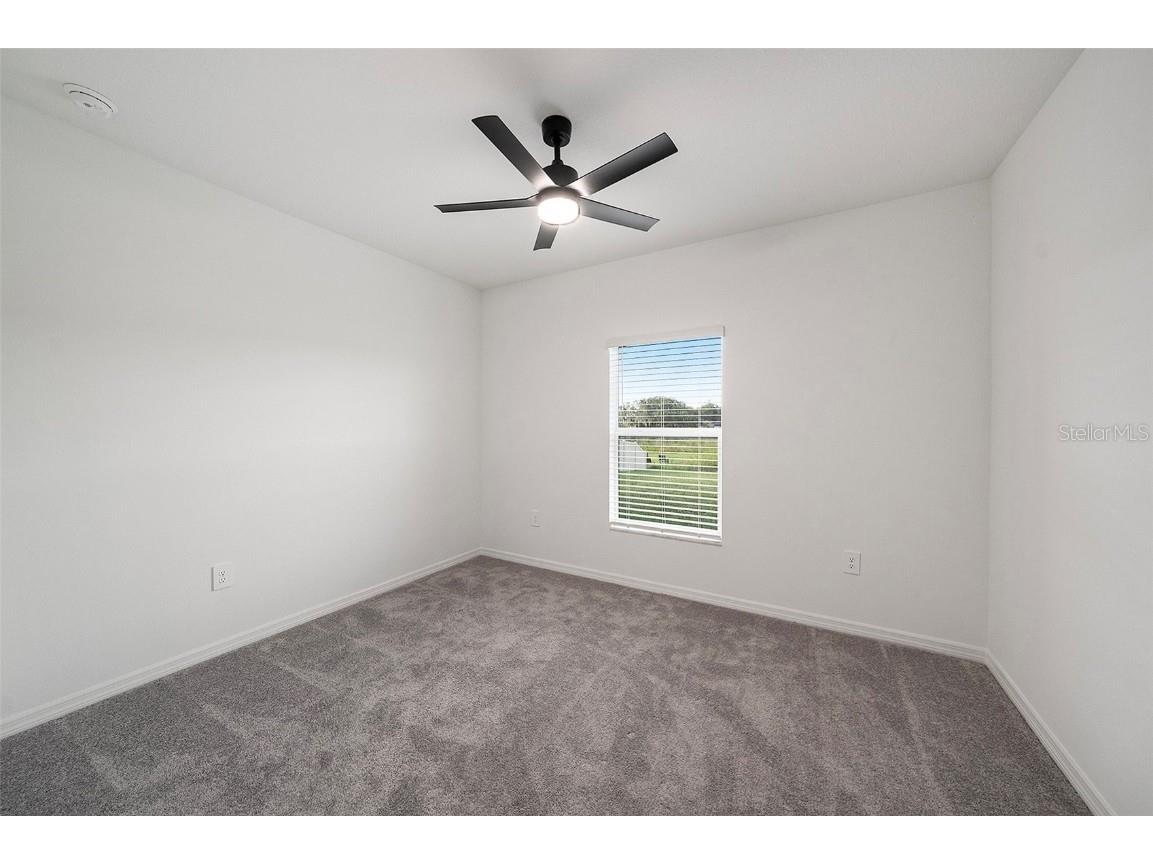 35461 Ackley Trace Zephyrhills FL 33541 S5133434 image19