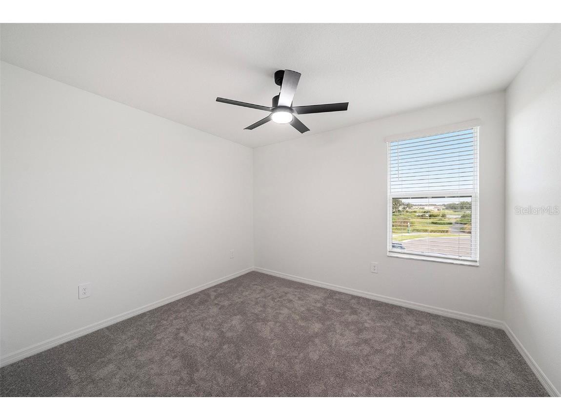 35461 Ackley Trace Zephyrhills FL 33541 S5133434 image22