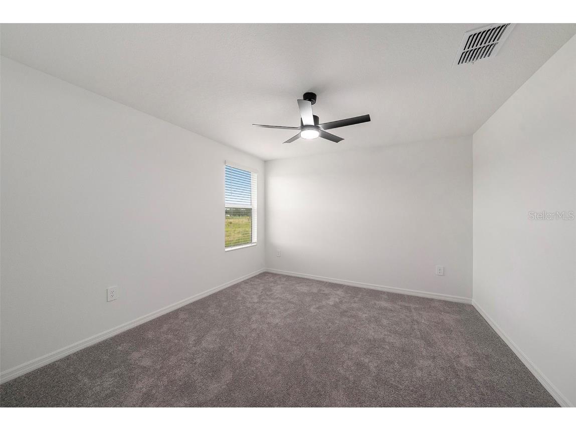 35461 Ackley Trace Zephyrhills FL 33541 S5133434 image24