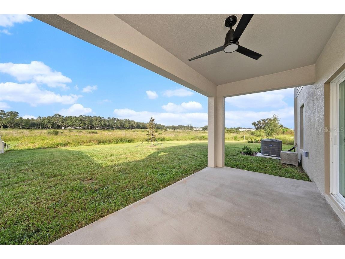 35461 Ackley Trace Zephyrhills FL 33541 S5133434 image26