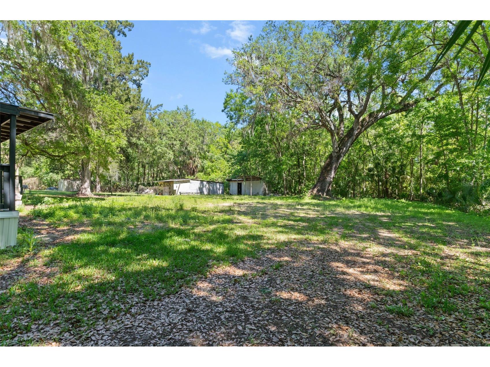 3547 Cr 405 Lake Panasoffkee FL 33538 G5109899 image34