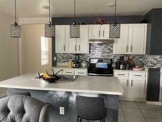 3547 Forster Avenue Leesburg FL 34748 O6400701 image4