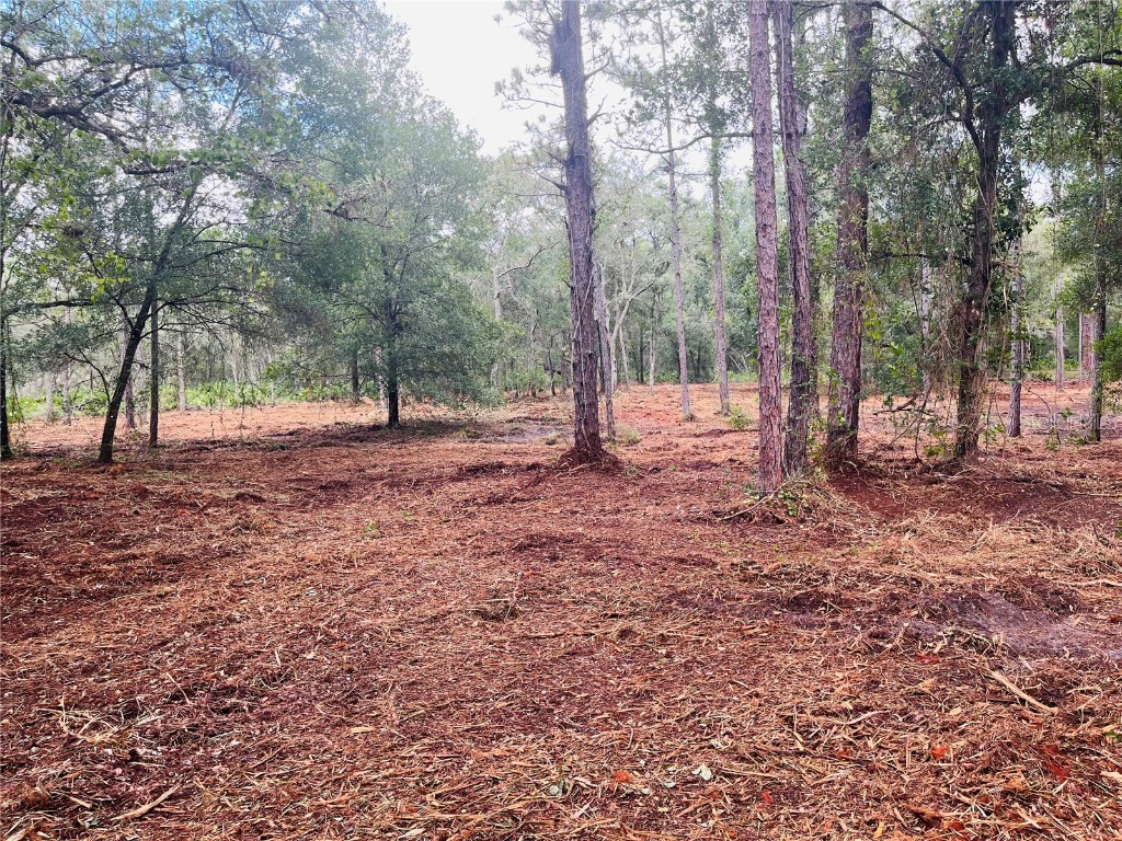 3547 Nutmeg Drive Webster FL 33597 O6146394 image1