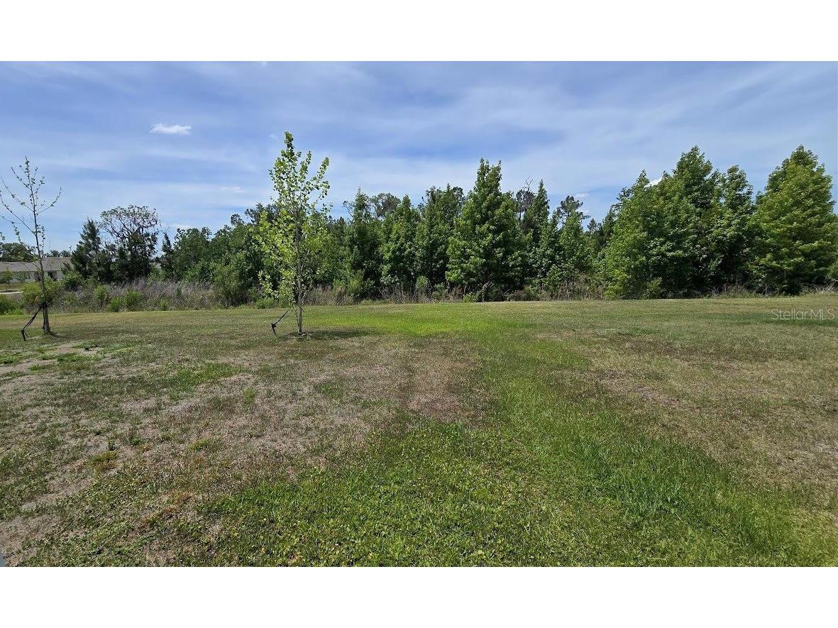 3547 Whale Rock Court Lakeland FL 33811 TB8510614 image21