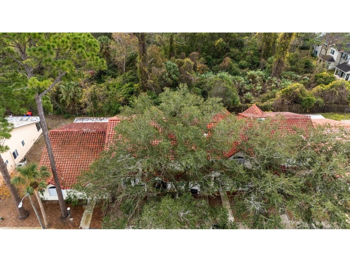 3548 Forest Branch Drive #C Port Orange FL 32129 FC306504 image30