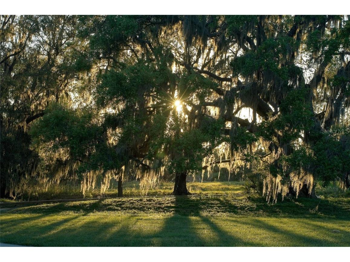 3548 Founders Club Drive Sarasota FL 34240 A4658917 image76