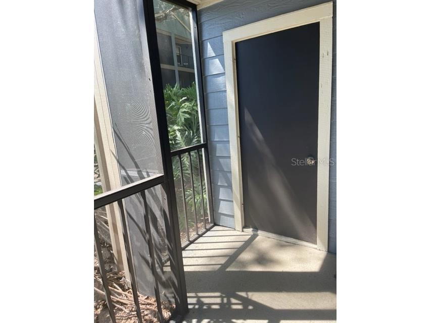3548 Tobago Lane #104 Tampa FL 33614 TB8525602 image36
