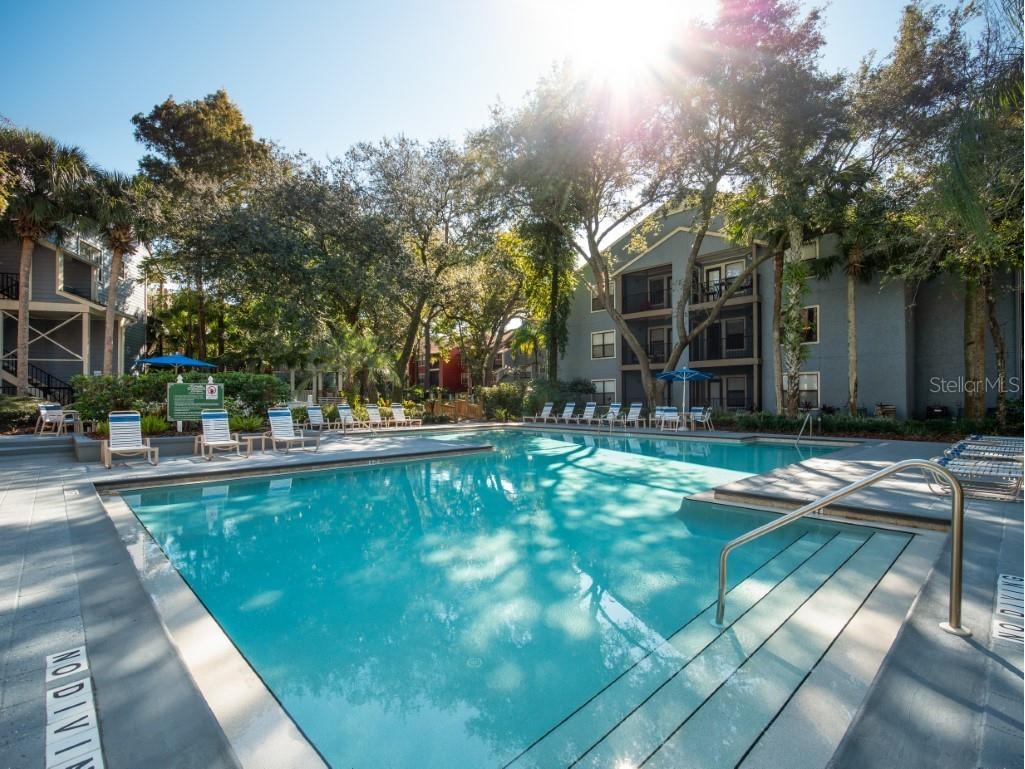 3548 Tobago Lane #104 Tampa FL 33614 TB8525602 image38