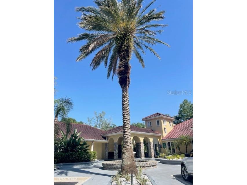 3548 Tobago Lane #104 Tampa FL 33614 TB8525602 image39