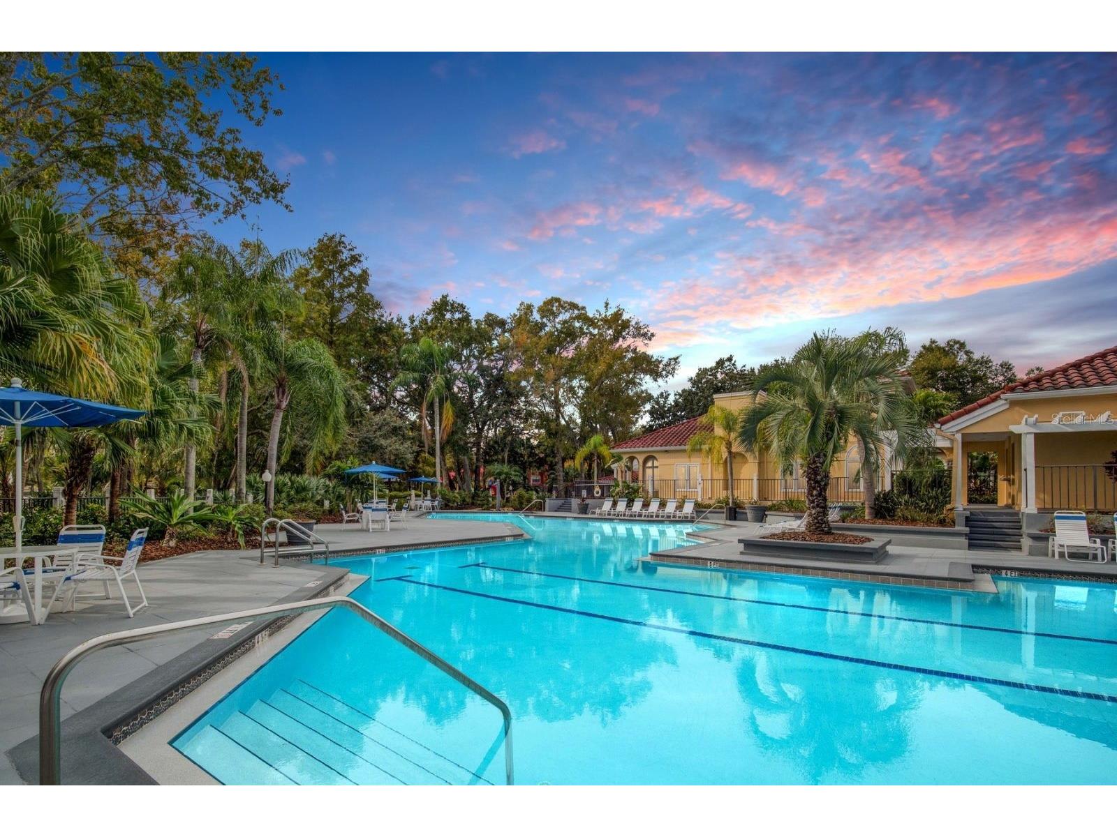 3548 Tobago Lane #104 Tampa FL 33614 TB8525602 image43