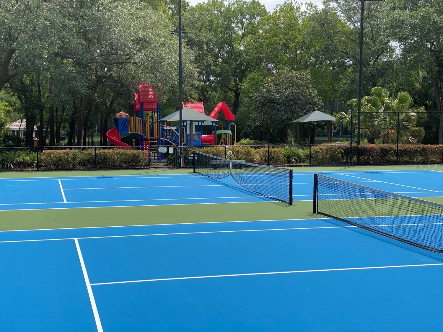 3548 Tobago Lane #104 Tampa FL 33614 TB8525602 image47