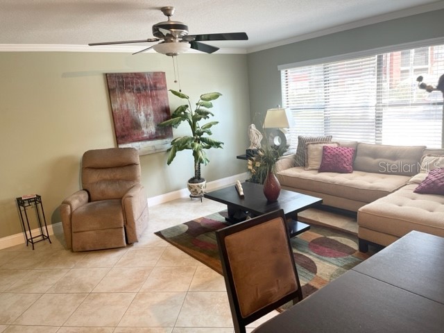 3548 Tobago Lane #104 Tampa FL 33614 TB8525602 image5