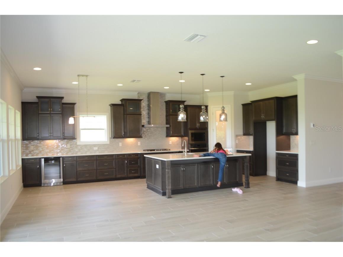 35482 Big Hawk Drive Zephyrhills FL 33541 TB8398243 image10