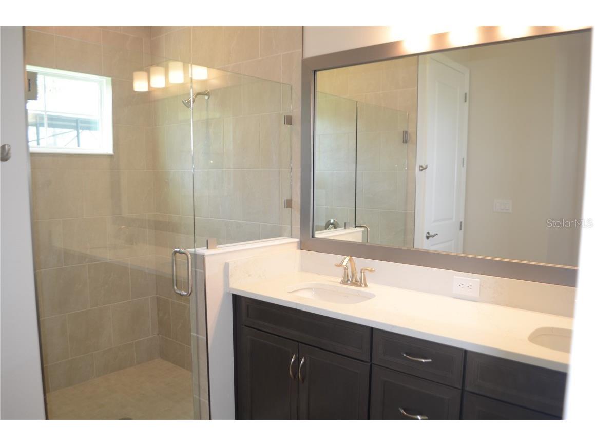 35482 Big Hawk Drive Zephyrhills FL 33541 TB8398243 image11