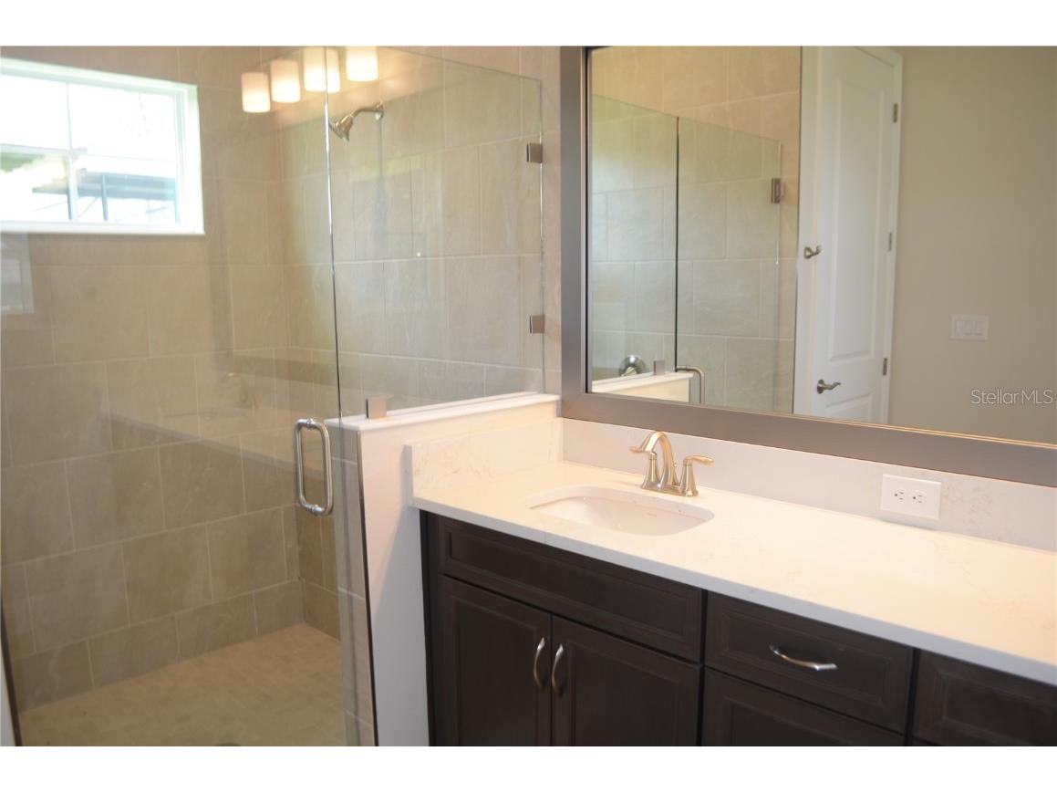 35482 Big Hawk Drive Zephyrhills FL 33541 TB8398243 image12