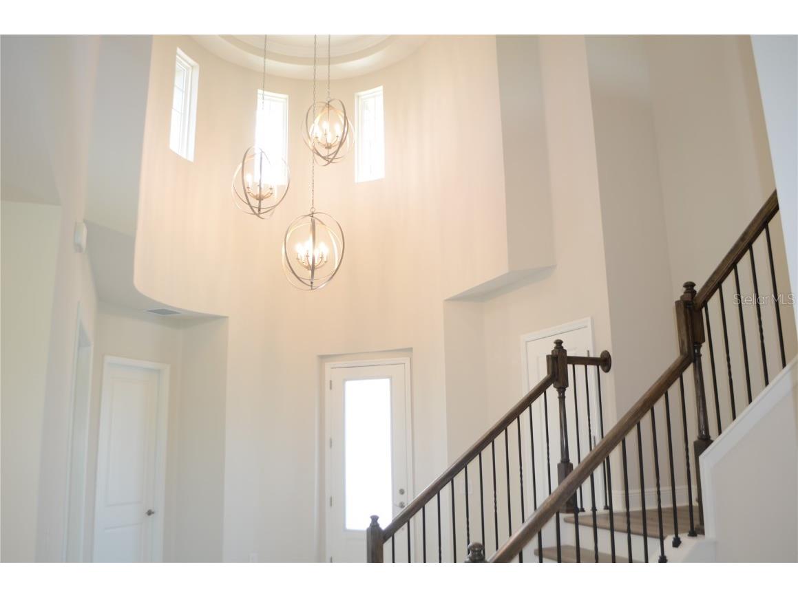 35482 Big Hawk Drive Zephyrhills FL 33541 TB8398243 image13