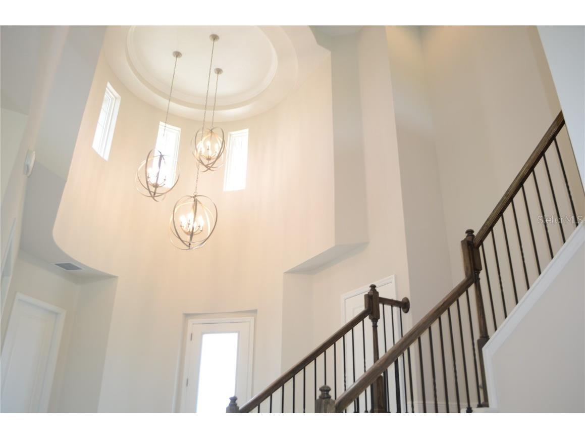 35482 Big Hawk Drive Zephyrhills FL 33541 TB8398243 image14