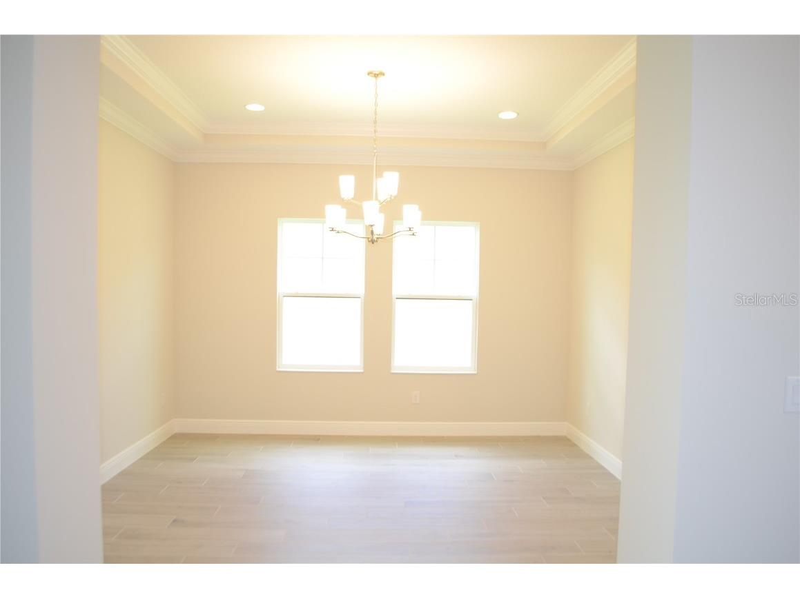 35482 Big Hawk Drive Zephyrhills FL 33541 TB8398243 image15