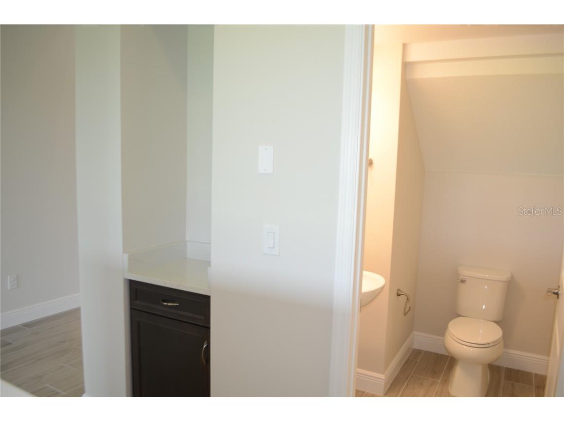 35482 Big Hawk Drive Zephyrhills FL 33541 TB8398243 image18