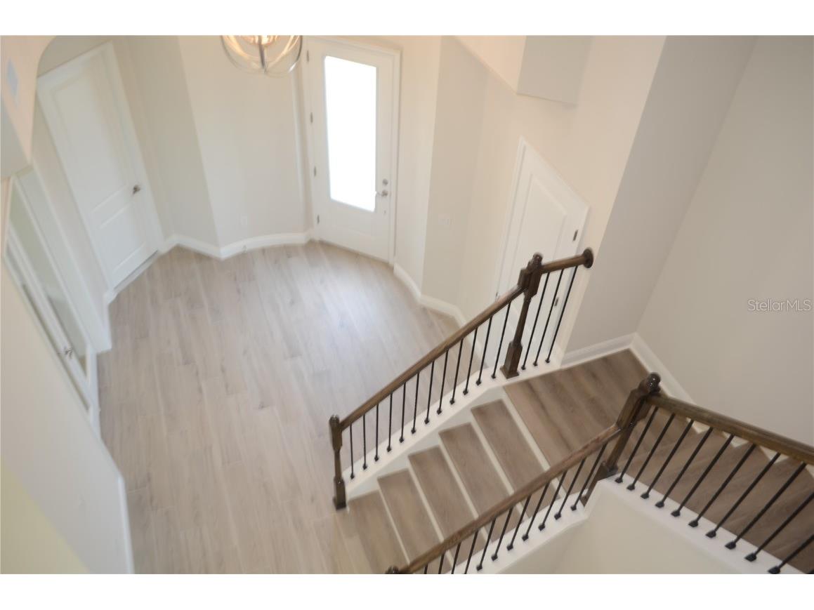 35482 Big Hawk Drive Zephyrhills FL 33541 TB8398243 image19