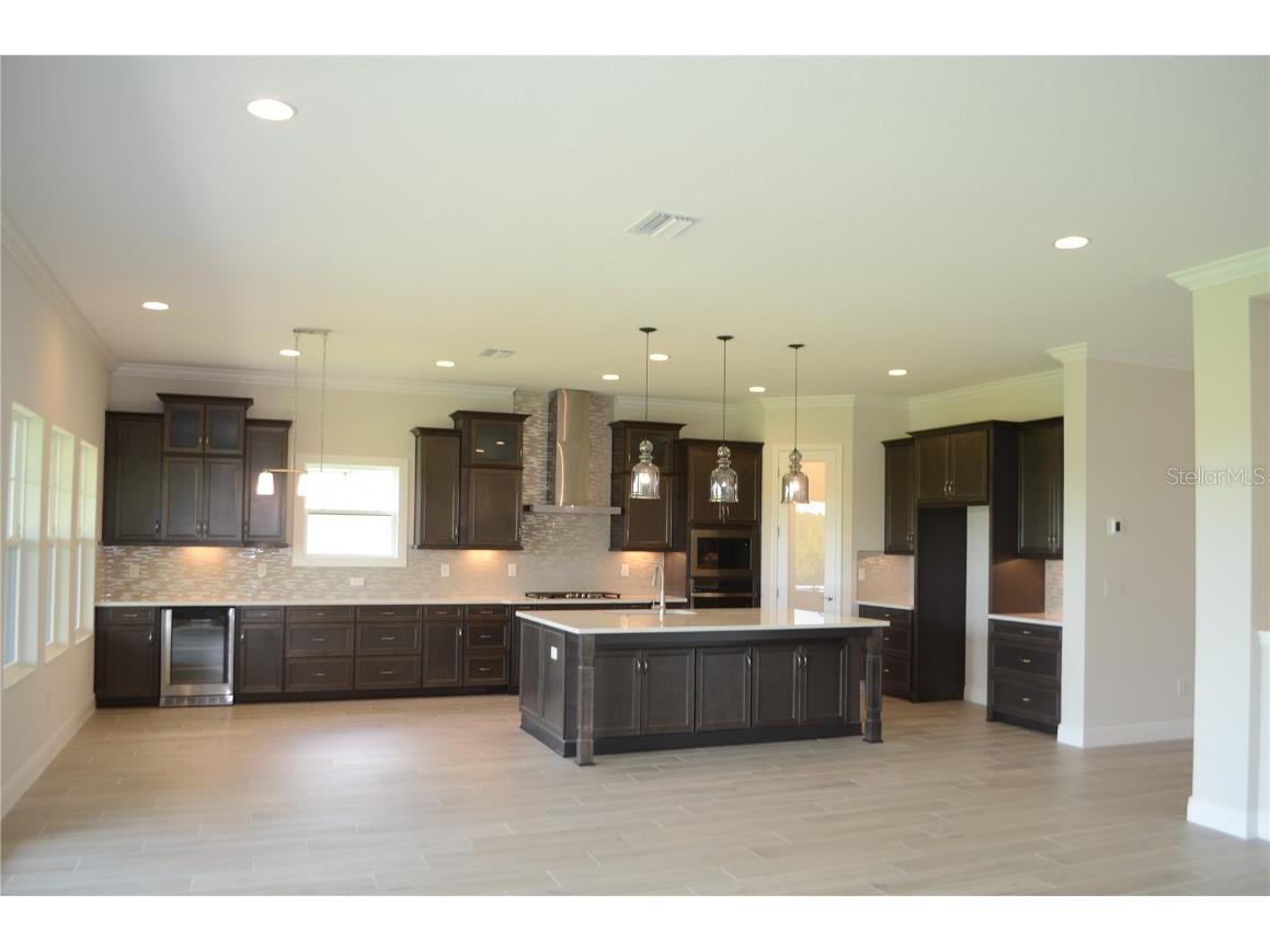 35482 Big Hawk Drive Zephyrhills FL 33541 TB8398243 image2