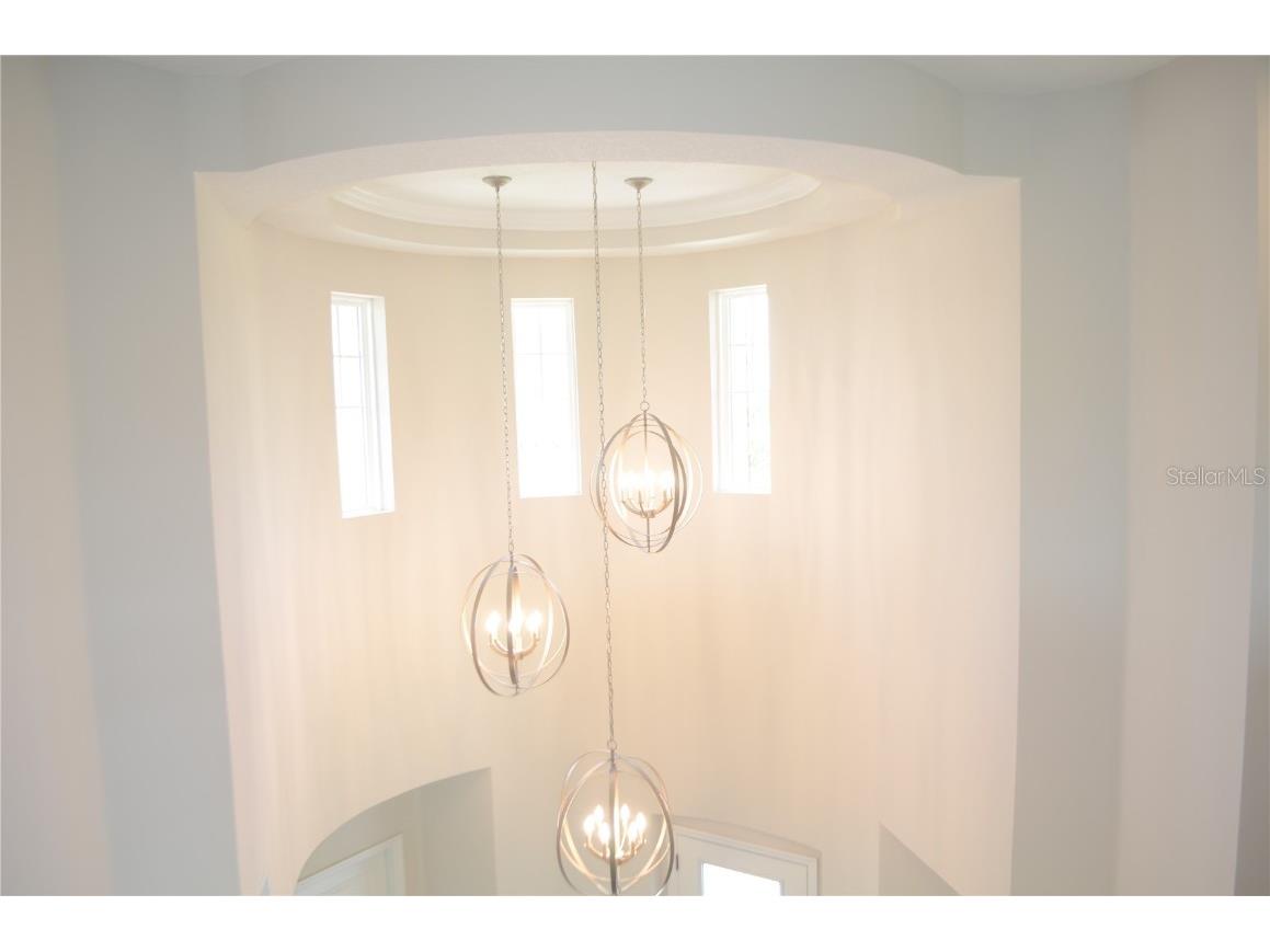 35482 Big Hawk Drive Zephyrhills FL 33541 TB8398243 image20