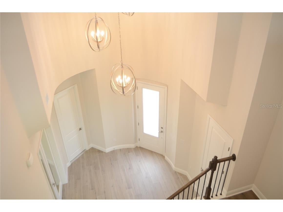 35482 Big Hawk Drive Zephyrhills FL 33541 TB8398243 image21