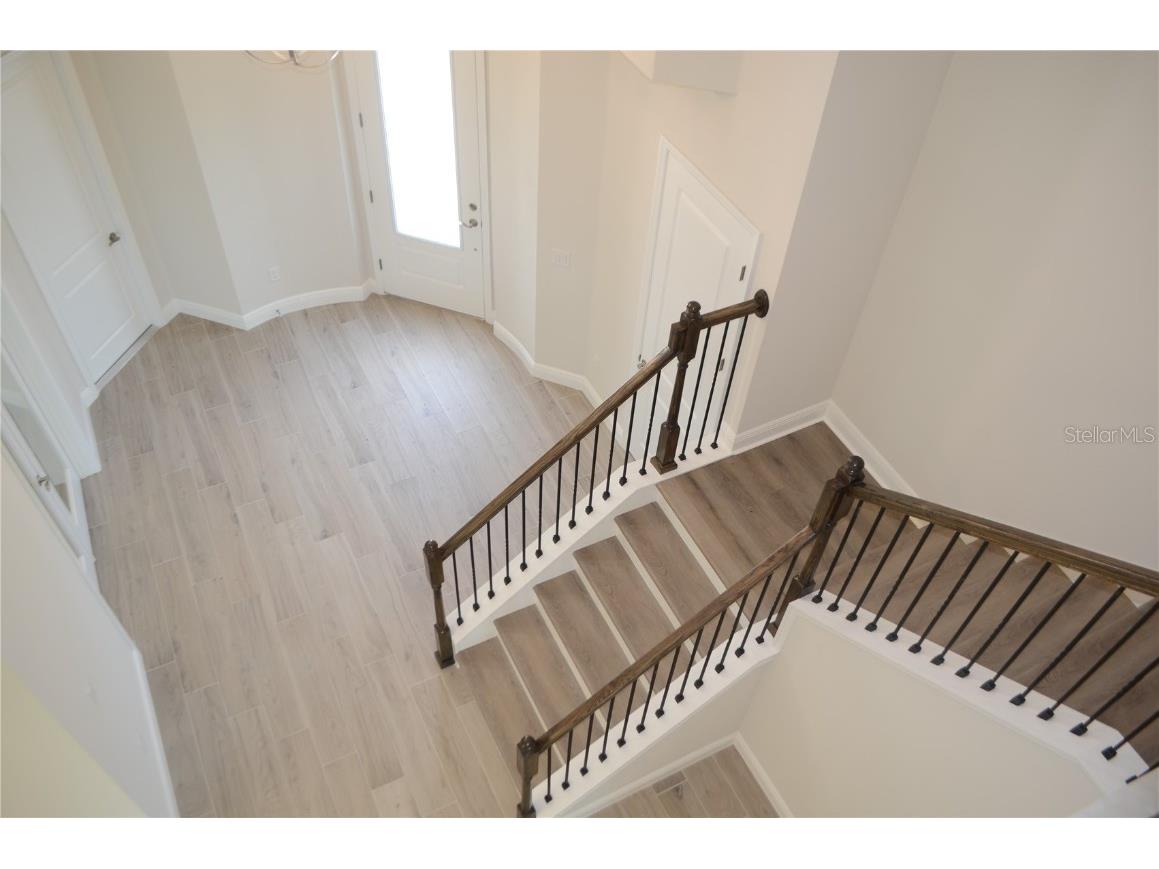 35482 Big Hawk Drive Zephyrhills FL 33541 TB8398243 image22