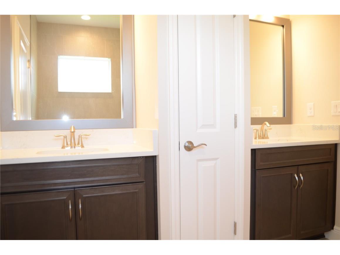 35482 Big Hawk Drive Zephyrhills FL 33541 TB8398243 image25