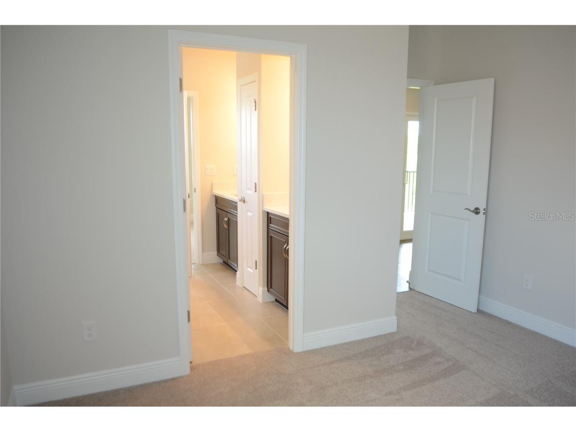 35482 Big Hawk Drive Zephyrhills FL 33541 TB8398243 image26