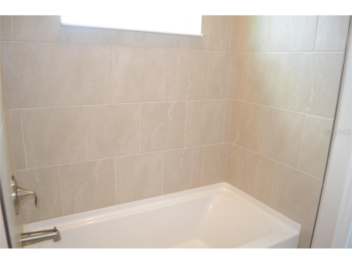 35482 Big Hawk Drive Zephyrhills FL 33541 TB8398243 image27