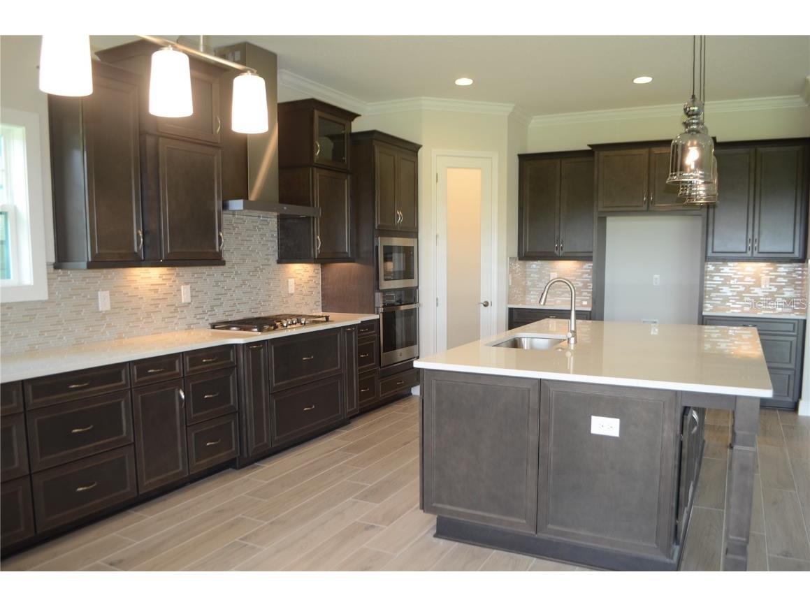 35482 Big Hawk Drive Zephyrhills FL 33541 TB8398243 image3